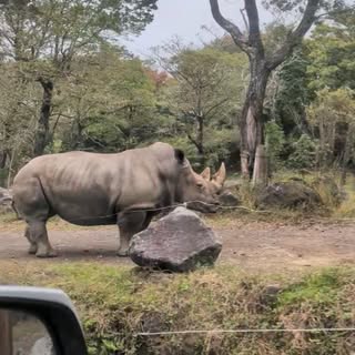 by @touristserviceplanning at January 30th 57768, 11:53:20 pm