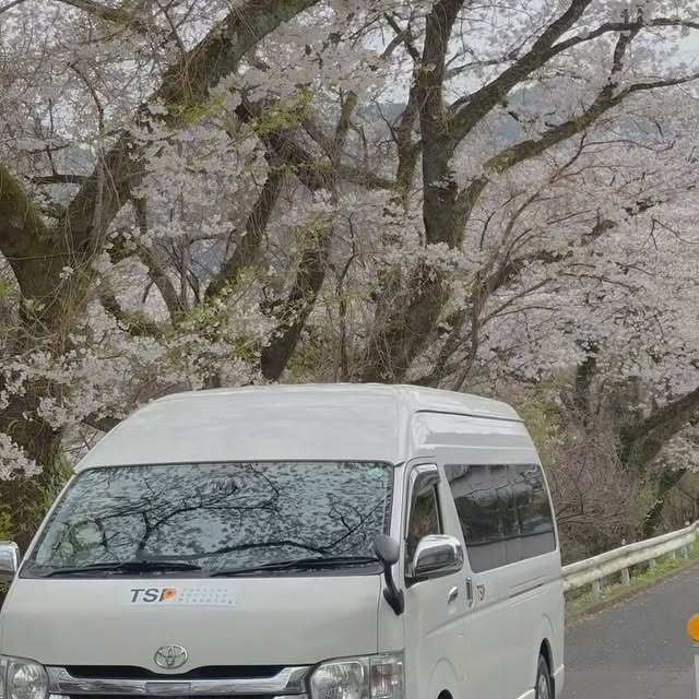 Private car service in Japan with English-speaking driver : รถส่วนตัวพร้อมคนขับ(คนไทย)ในญี่ปุ่น#japan #travelinjapan #yamanashi #fuji #familytrip #chartervan #charterbus #privatejapantour #privatetourguidethailand #tsp #travelserviceplanning #privatecarservice #ท่องเที่ยวญี่ปุ่น #ยามานาชิ #ฟูจิ #ทริปนี้ที่รอคอย #รถส่วนตัวพร้อมคนขับ #ญี่ปุ่น #ทริปครอบครัว #รถตู้พร้อมคนขับ #รถบัสพร้อมคนขับ